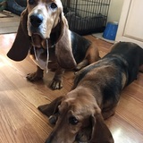Entry image for Marty and Max 
