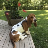 Entry image for Stella “Tiny Thunder” Hunt