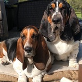 Entry image for Madea and Otis