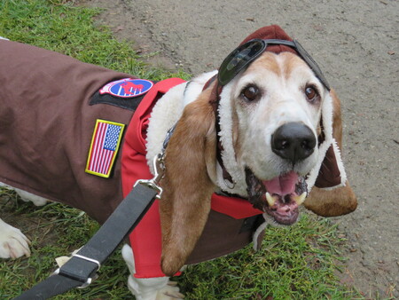 Entry image for Walter. Clicking this image will show a larger photo