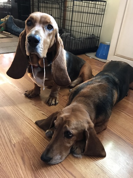 Entry image for Marty and Max . Clicking this image will show a larger photo