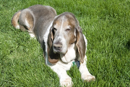 Entry image for Tucker-ATB. Clicking this image will show a larger photo