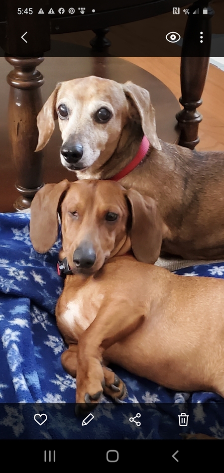 Molly & Gloria