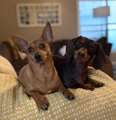 Penny and Frankie