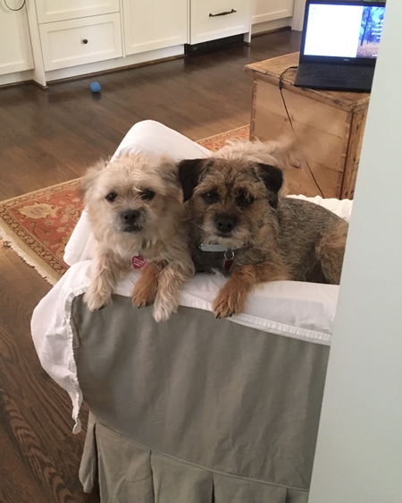 Silvie & Ernest