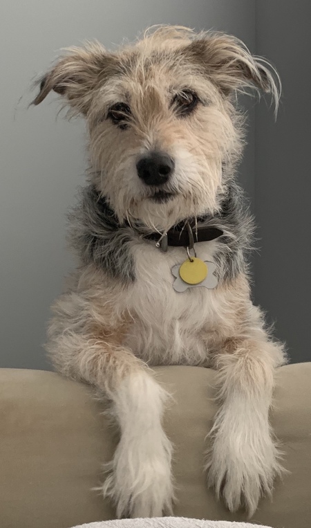 Nuno