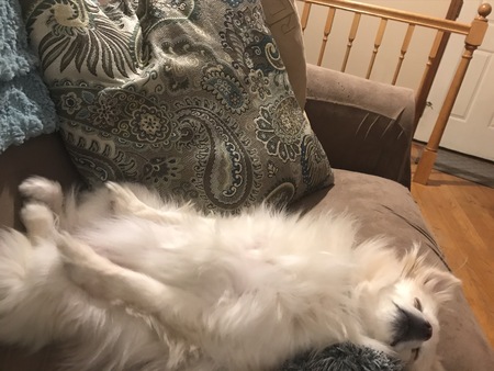 Lulu