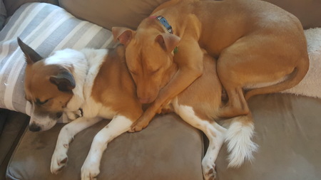 Maddie & Bodie