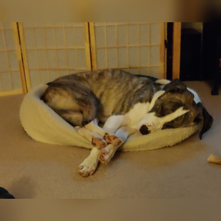 Finnegan
