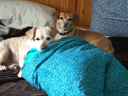 Gabe and Lucy