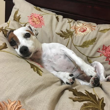 Lily