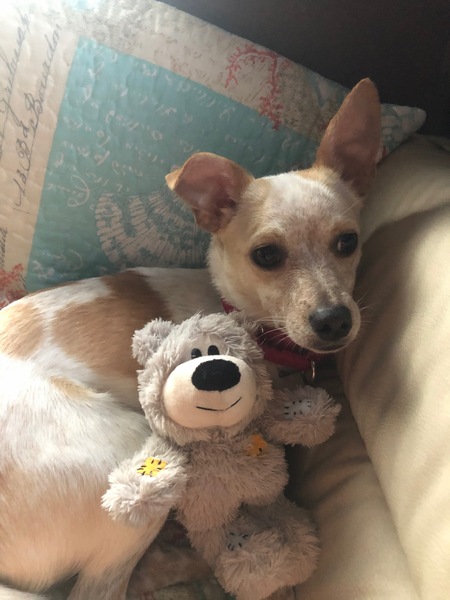 Roscoe