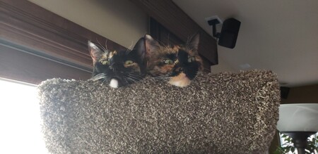 Tinky & Charli
