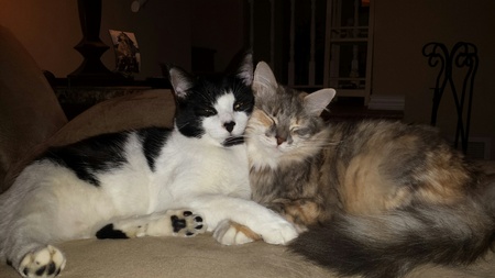JJ and Skye