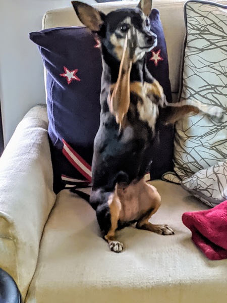 Mimi