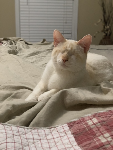 Max