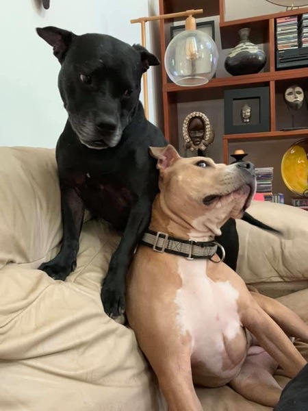 Jet and Willi