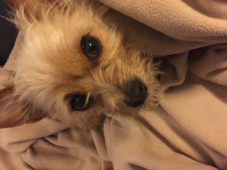 Nella
