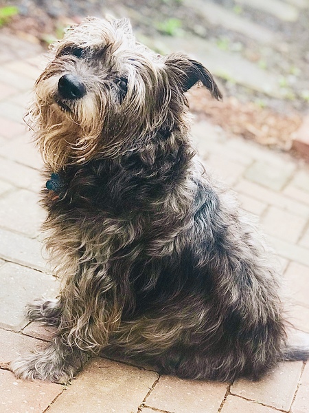Tucker