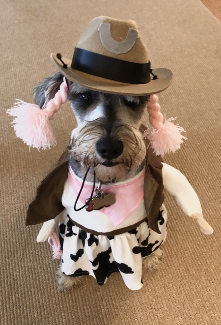 Gracie Lou