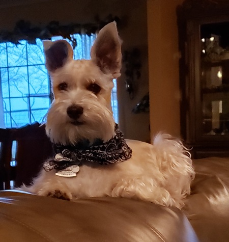 Sir Oliver 