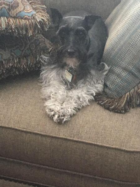 Kaci