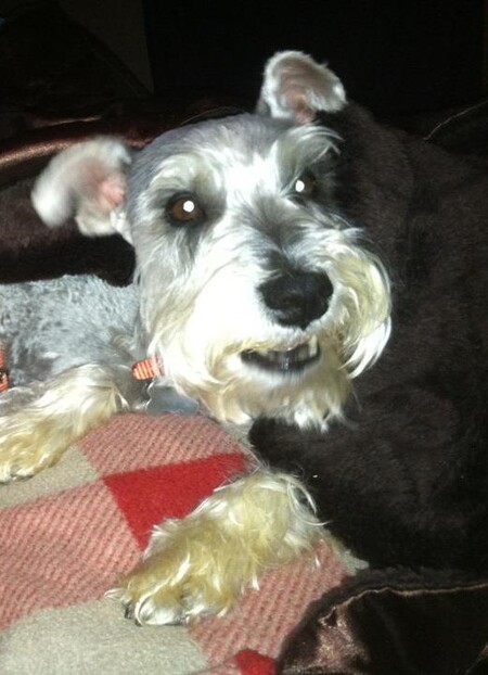 Boudreaux