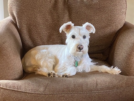 Tucker