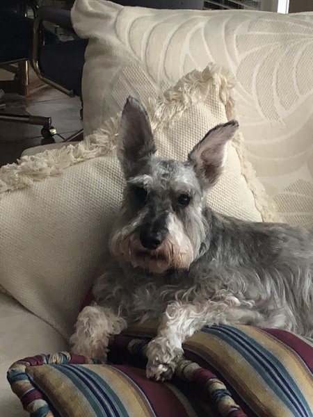 Freddie