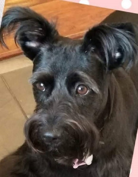 Bella