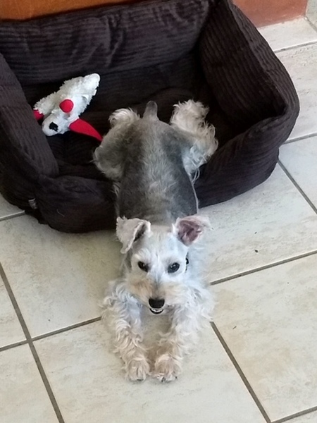 Lola Mae