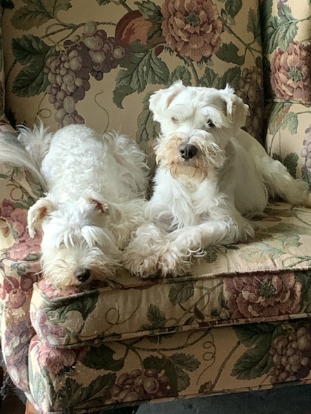 Lil’ Man & Teddie Girl 