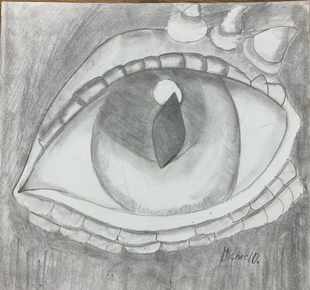 The Eye of Terra