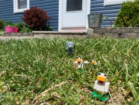 Lego Dog Chasing Ducks