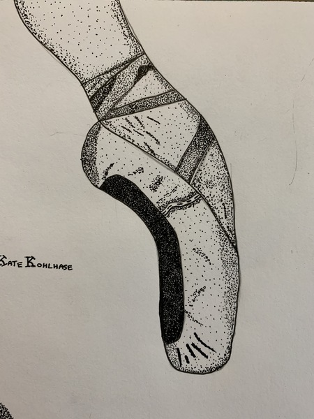 Point Shoe Drawing