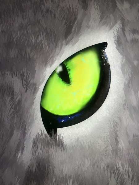 The Cat Eye