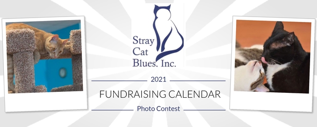 Stray Cat Blues Inc. The Stray Cat Blues Inc. 2nd Annual Fundraising