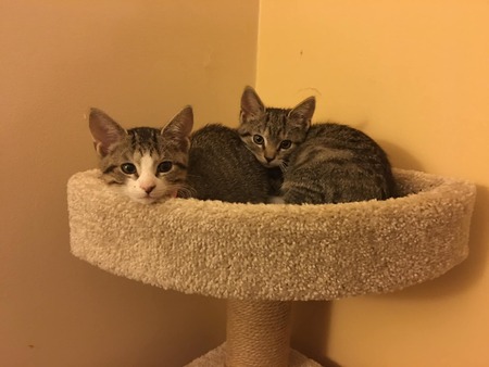 Roo and Polly