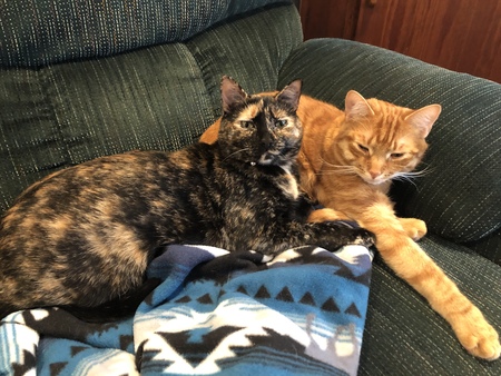 Trixie and Captain