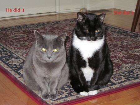 Sophie and Dewey