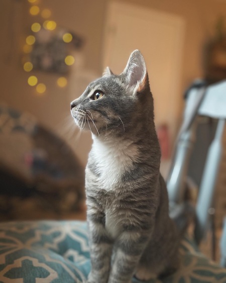 Milo