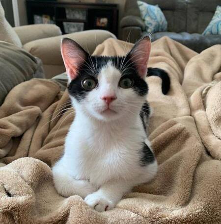 Rosie