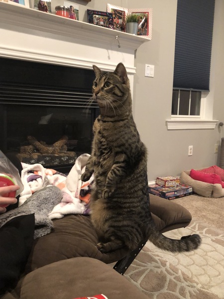 Mia