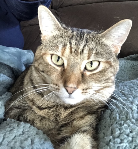 Bella
