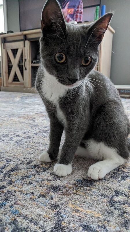 Rosie