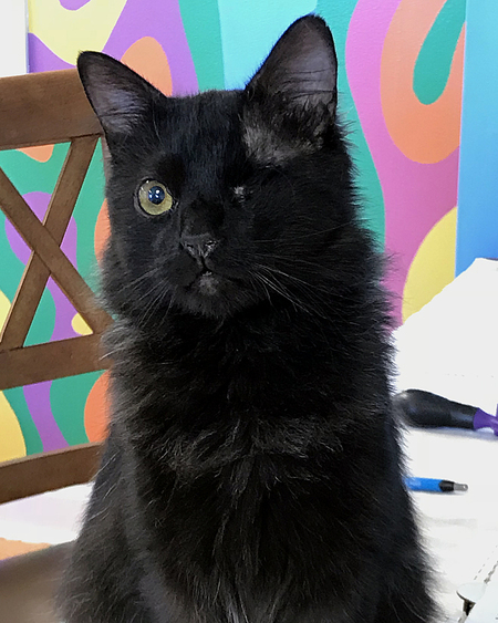 Hector