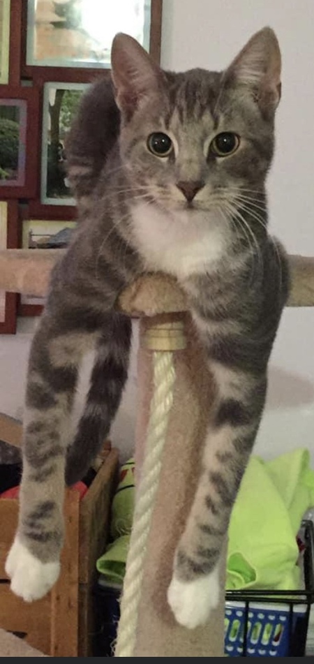Samson