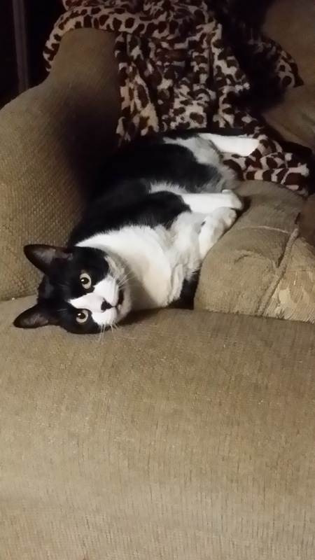 COZMO