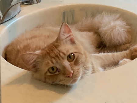 Max