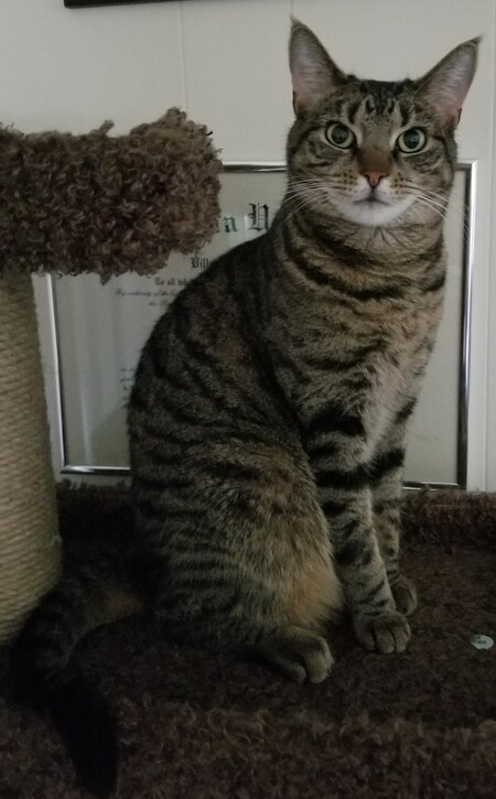 Skye